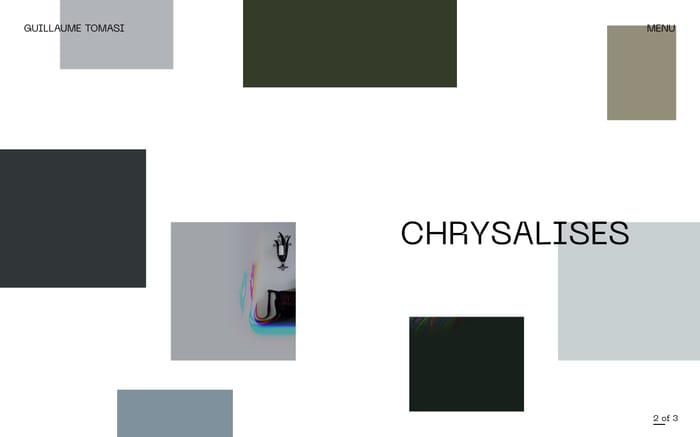 Guillaume Tomasi website preview