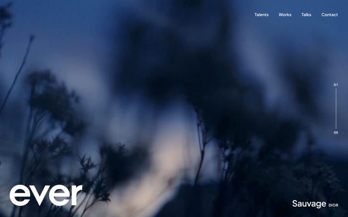 Ever website preview