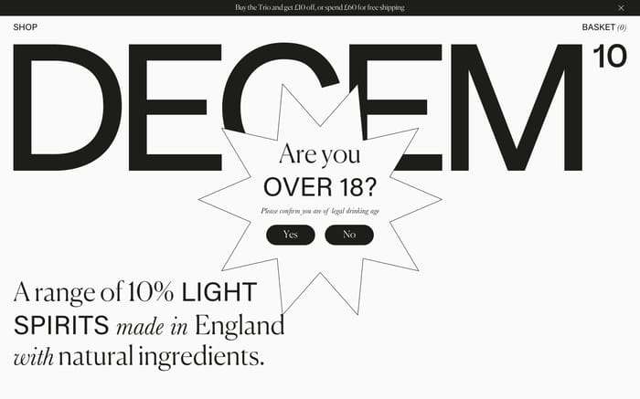 Decem website preview