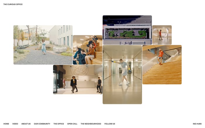 The Curious Office website preview