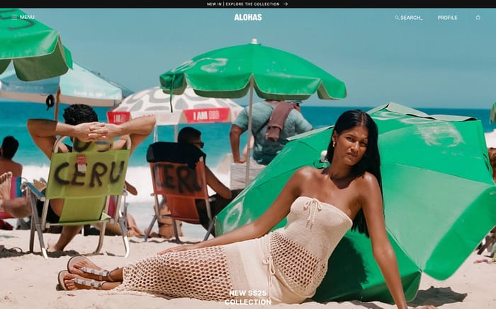 Alohas website preview