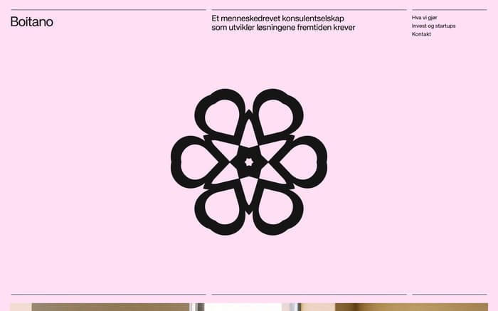 Boitano website preview