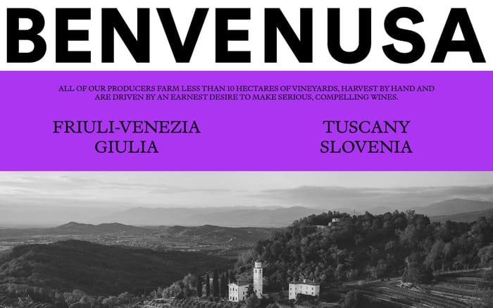 Benvenusa website preview