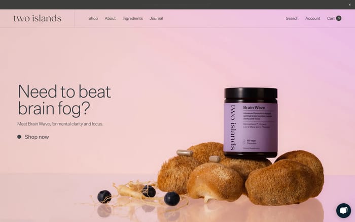 Two Islands website preview