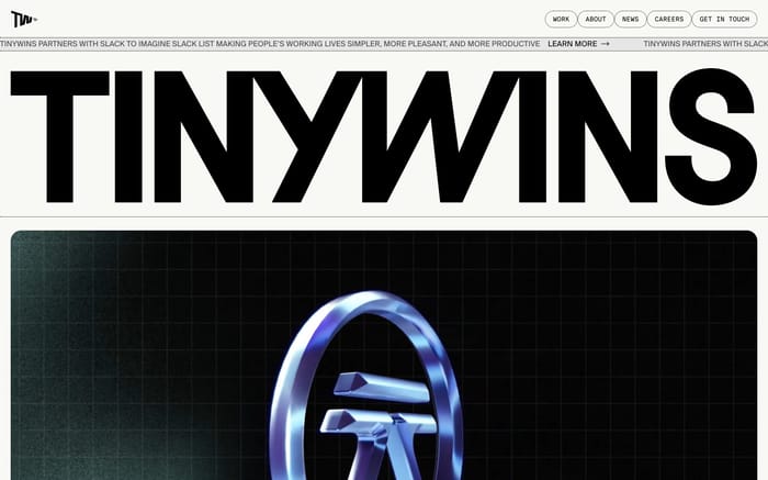 TinyWins website preview