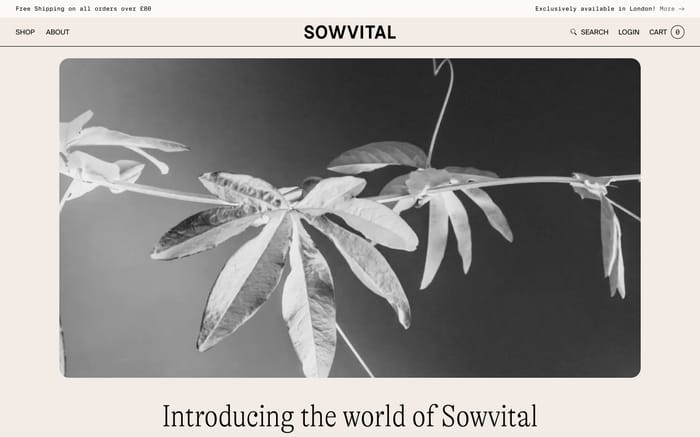 Sowvital website preview