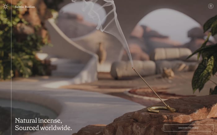 Subtle Bodies website preview