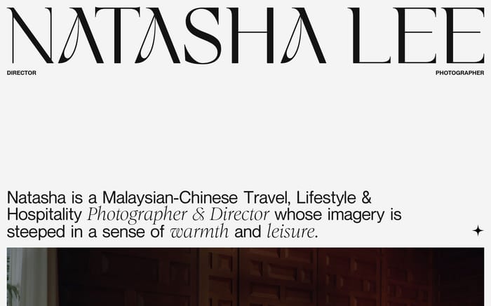 Natasha Lee website preview