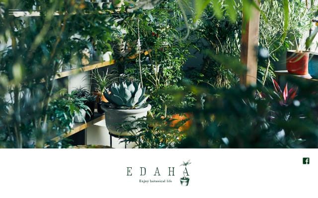 Edaha website preview