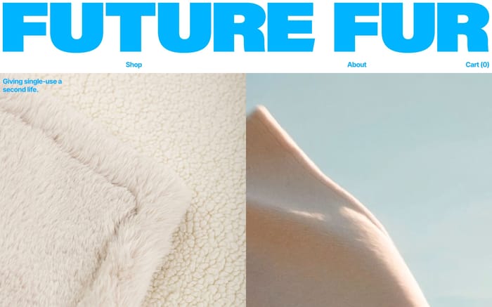 Future Fur website preview