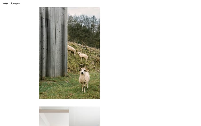 Tonale website preview