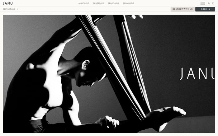 Janu website preview