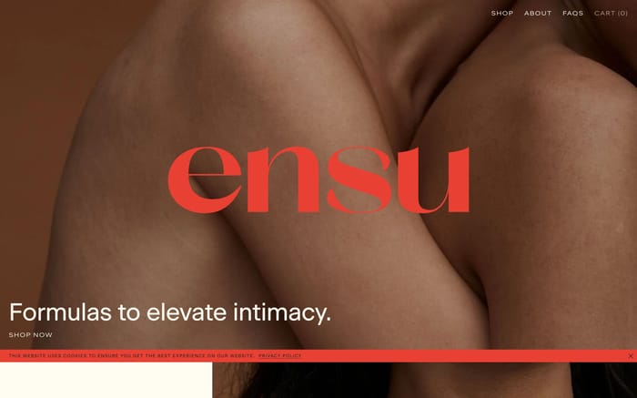 Ensu website preview