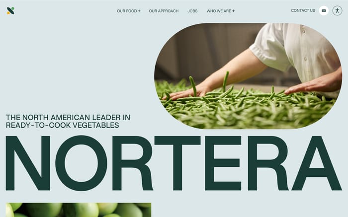 Nortera website preview