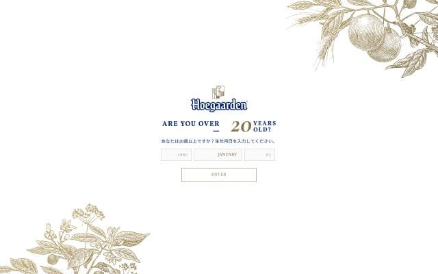 Hoegaarden website preview