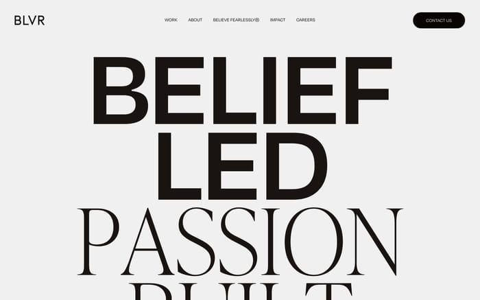 BLVR website preview