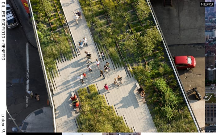 Dsrny website preview