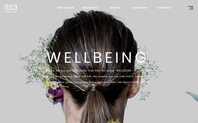 No3 website preview