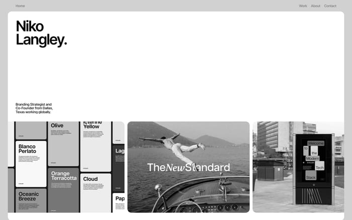 Niko Langley website preview