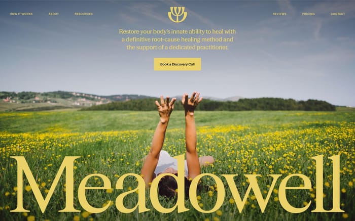 Meadowell website preview