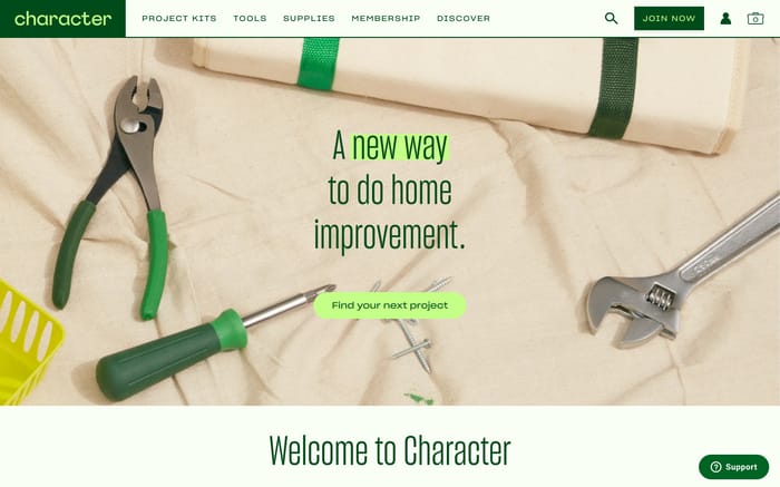 Character website preview