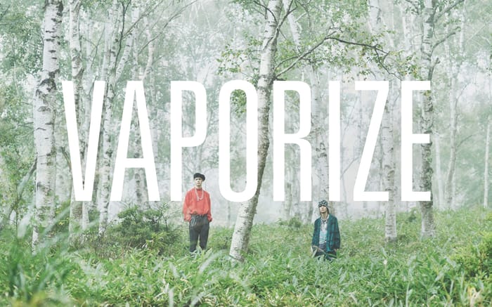 VAPORIZE website preview