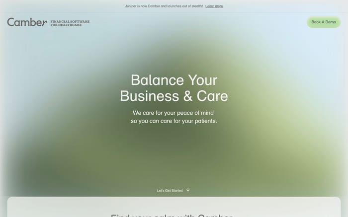 Camber website preview