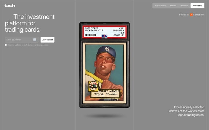 Tash website preview