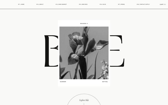 BIDE website preview