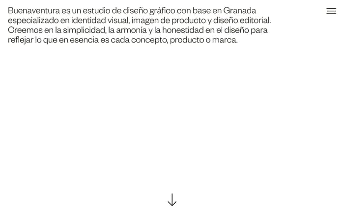 Buenaventura website preview