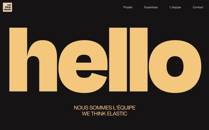 We Think Elastic website preview