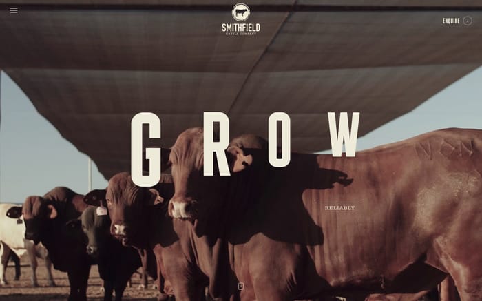 Smithfield Cattle Co website preview