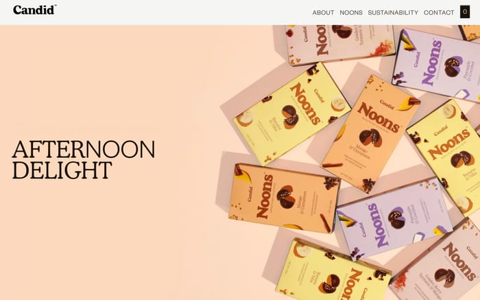 Candid website preview