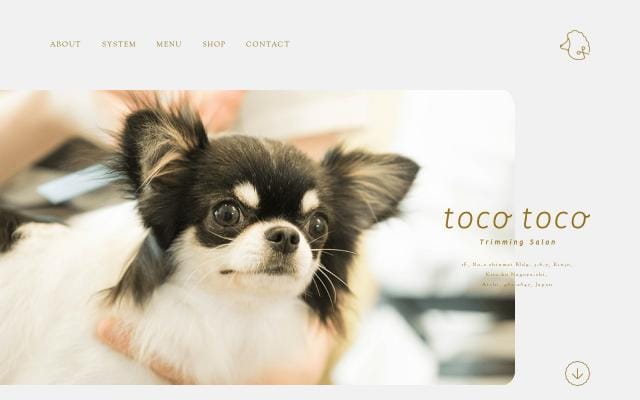 Tocotoco website preview