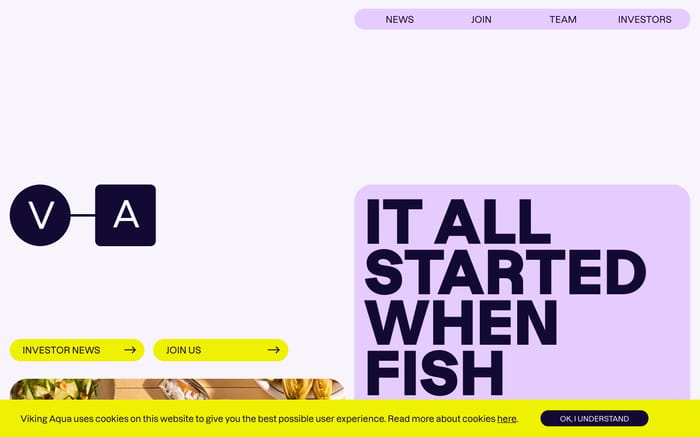 Viking Aqua website preview