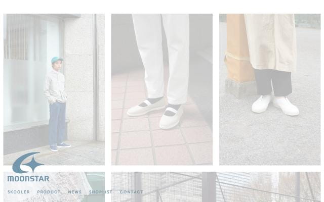 Skooler website preview