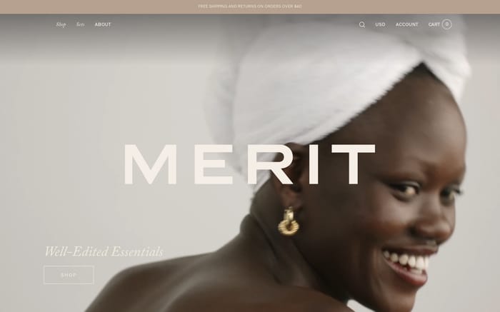 Merit website preview