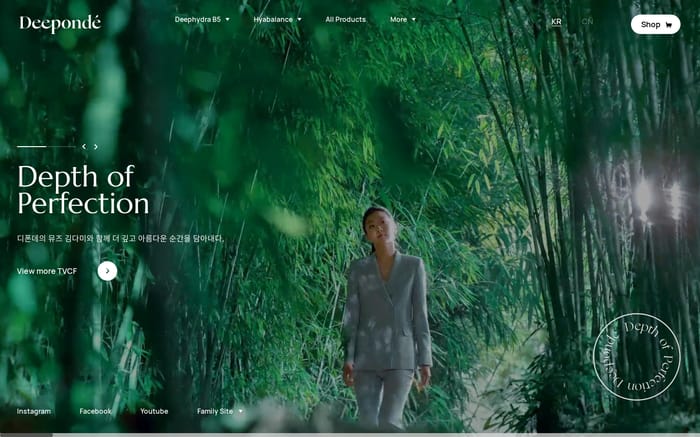 Deeponde website preview