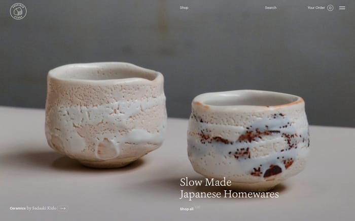 Provider Store website preview
