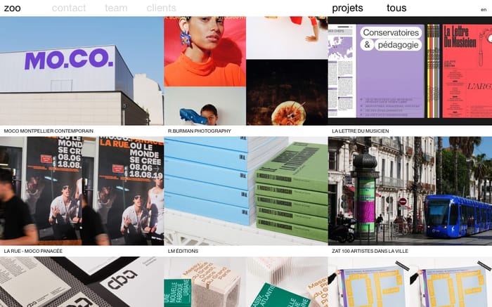 Zoo website preview
