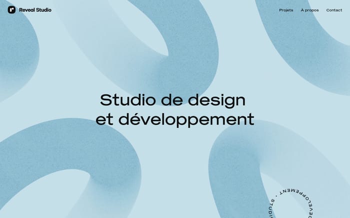 Reveal Studio website preview