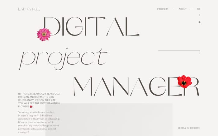 Laura Bize website preview
