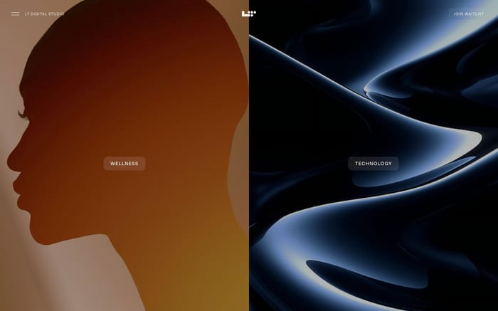 LT Digital website preview