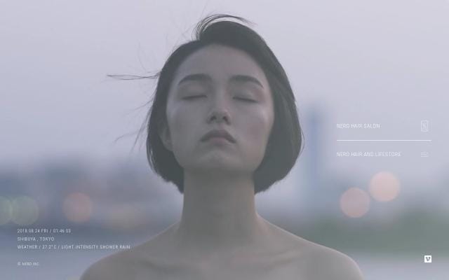 Nero-hair website preview
