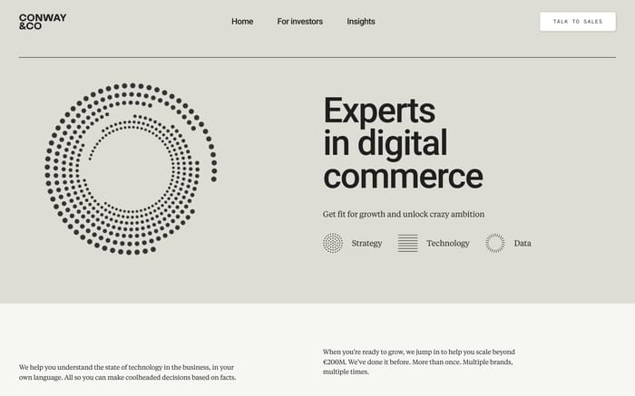 Conway & Co website preview