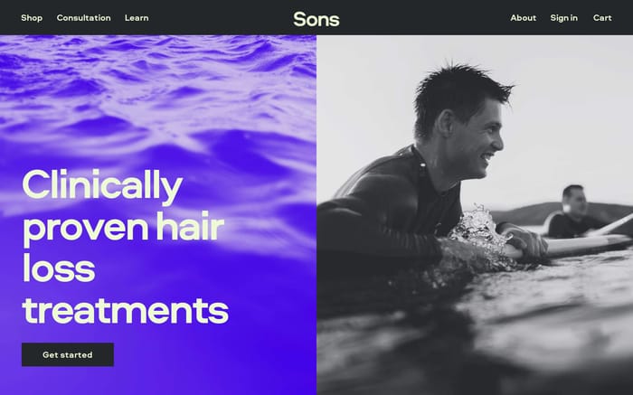 Sons website preview