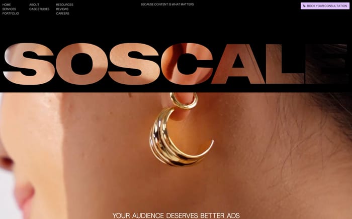 SoScale Media website preview