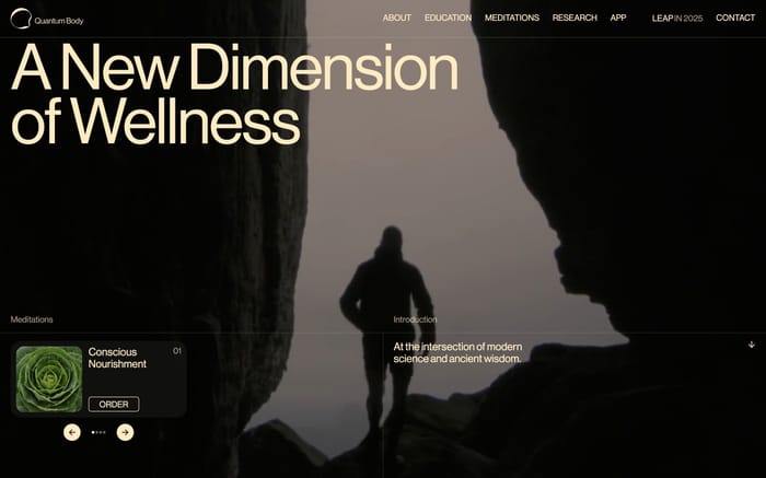 Quantum Body website preview