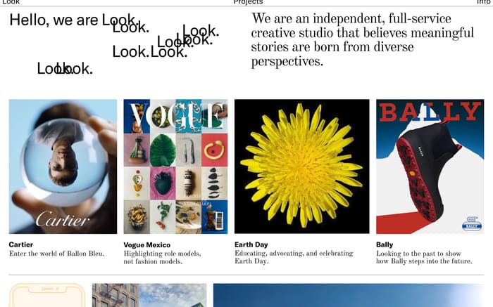 Look website preview