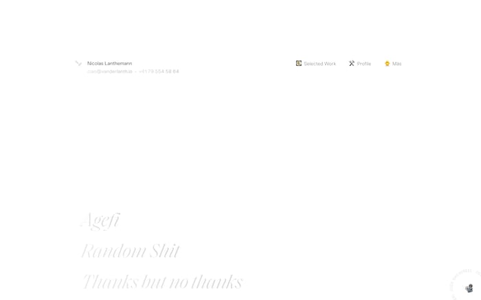 Nicolas Lanthemann website preview